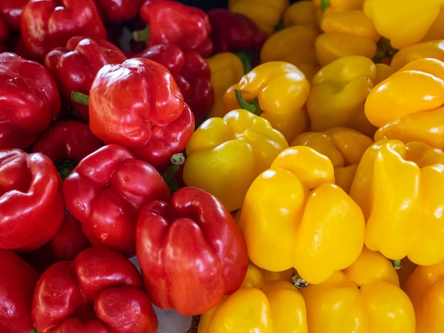 Vielzahl von gelben und roten Paprika. Marktkonzept