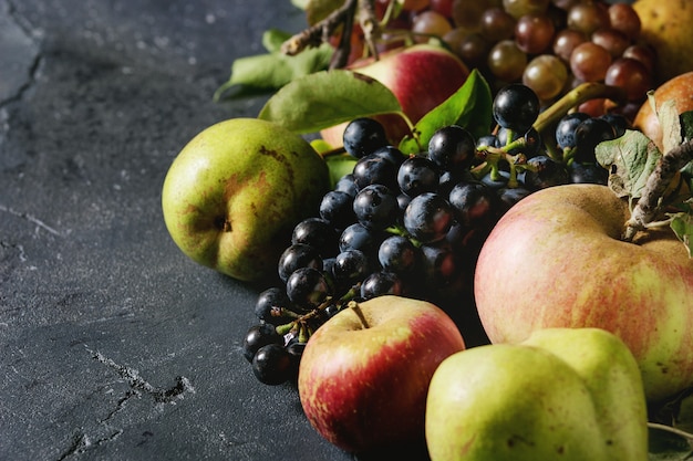 Vielzahl von Herbstfrüchten