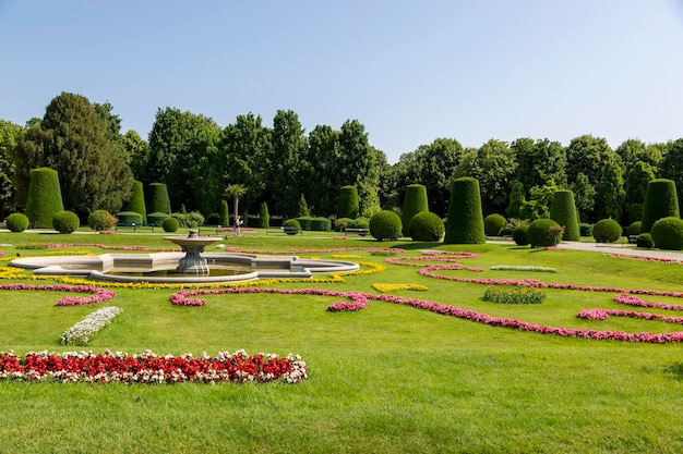 Viena, Áustria, 18 de junho de 2023 - Cobertor de flores no beco do Parque do Palácio de Schoenbrunn