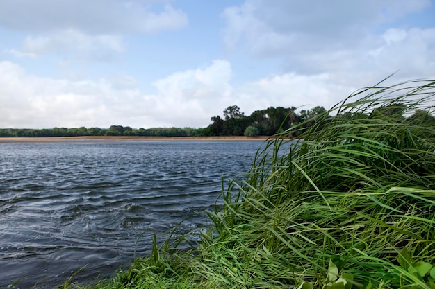 Viento en el río Loira