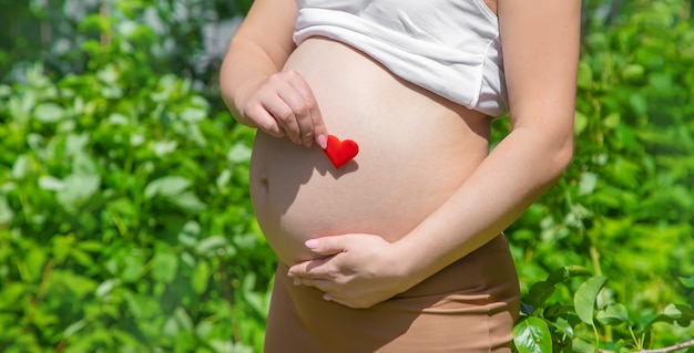 Vientre embarazado y corazón en las manos.