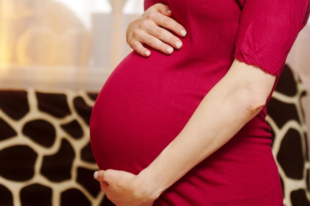 El vientre de una mujer embarazada en el tercer trimestre La expectativa de un bebé El concepto de amor, felicidad y seguridad