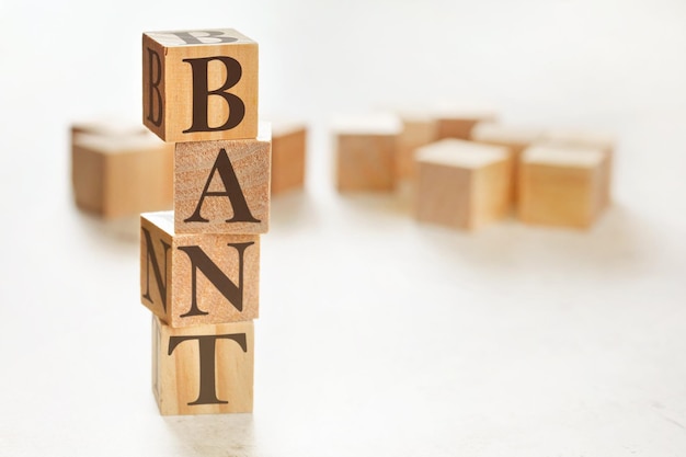 Vier gestapelte Holzwürfel mit den Buchstaben BANT (Akronym für Budget Authority Need Timeline) darauf, Platz für Text / Bild in der unteren rechten Ecke