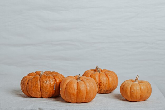 Vier kleine Kürbisse auf weißem Hintergrund. Halloween