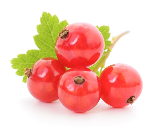 Vier rote Johannisbeeren