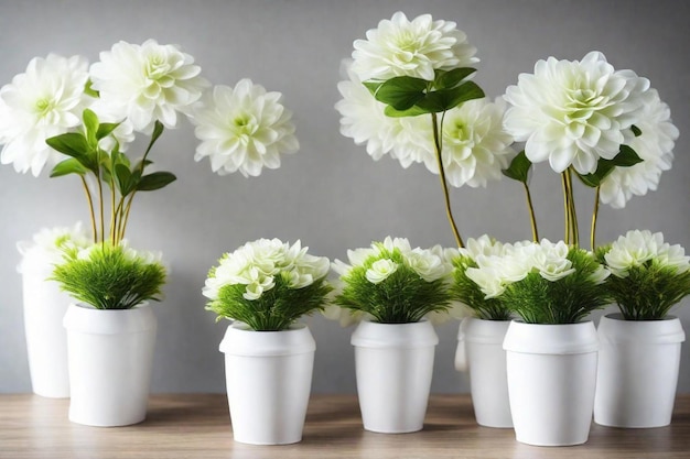 vier weiße Blumentöpfe mit weißen Blumen darin
