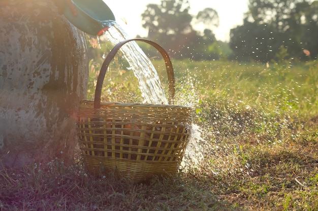 Vierta el agua del tazón en la canasta de una comida caliente rápidamente salpicada maravillosamente. Durante el paisaje del atardecer en el campo.