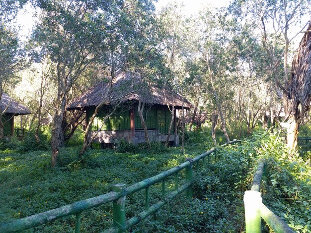 Foto vietnam natur spaziergang