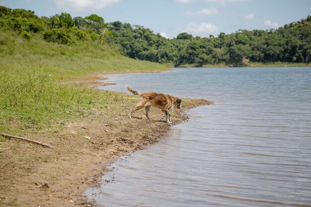 View Dam mit Fischer mit viel tropischer brasilianischer Sommersonne