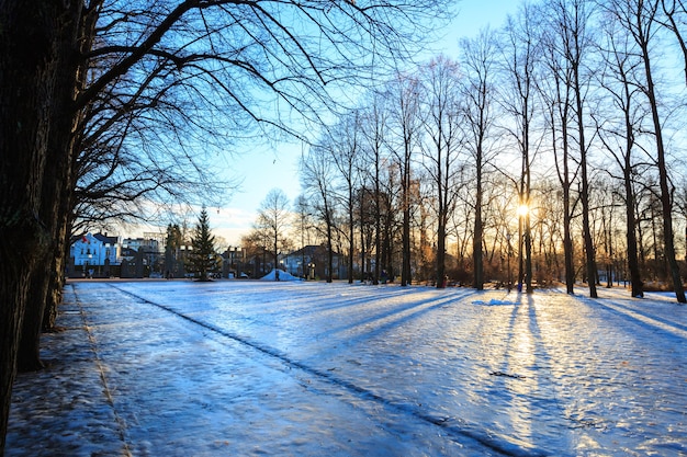 Vigeland Park Winter Oslo Norwegen