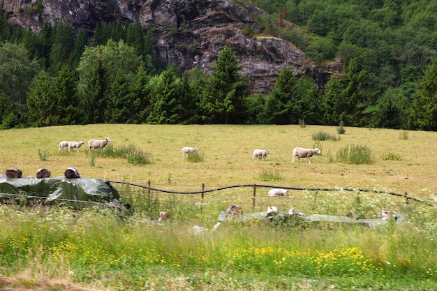 Vila Flam nas montanhas da Noruega