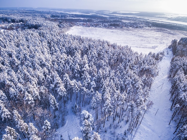 Vila tonificada perto do campo Floresta de inverno ao redor de céu nublado e sol Vista aérea