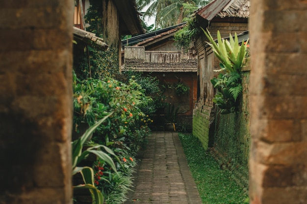 Foto vila tradicional de bali panglipuran