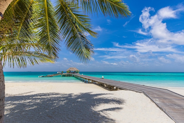 Vilas de resort de luxo aquáticas sobre folhas de palmeira areia branca oceano lagoa azul mar paisagem marinha praia
