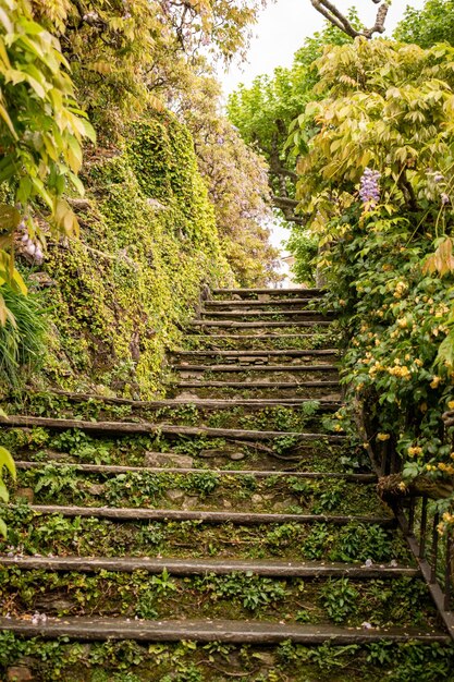 Foto villa balbianello