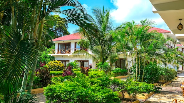 Villa frente al mar rodeada de palmeras verdes concepto de viajes de vacaciones de verano