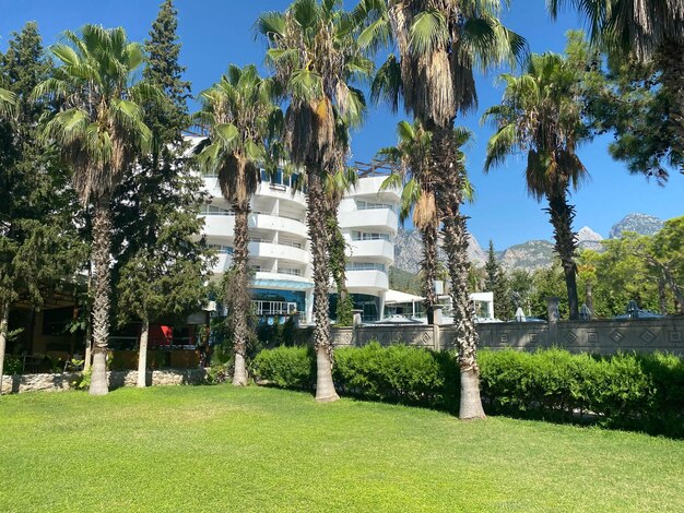 Villa mit Poolpalmen und Meerblick