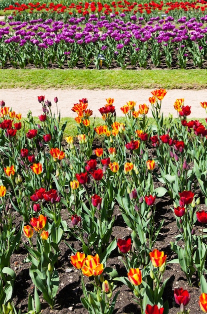 Villa Taranto - Italien. Berühmter italienischer Garten mit einem eigenen Bereich für den Tulpenanbau.