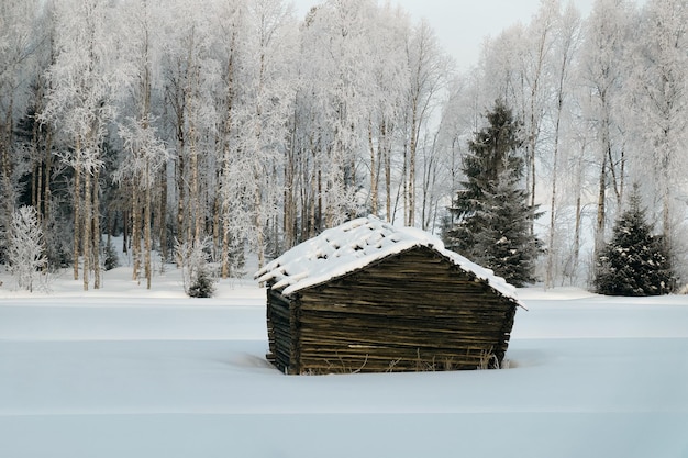 Village Cottage e inverno nevado, Finlândia da Lapônia no Natal