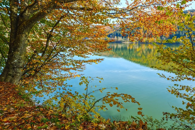 Vilshany Wasserreservoir am Fluss Tereblya Transkarpatien Ukraine Malerischer See mit Wolkenreflexion Schöner Herbsttag in den Karpaten