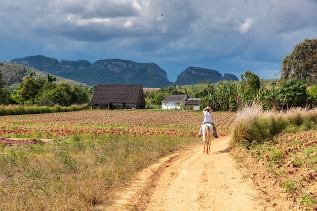 Vinales Tal