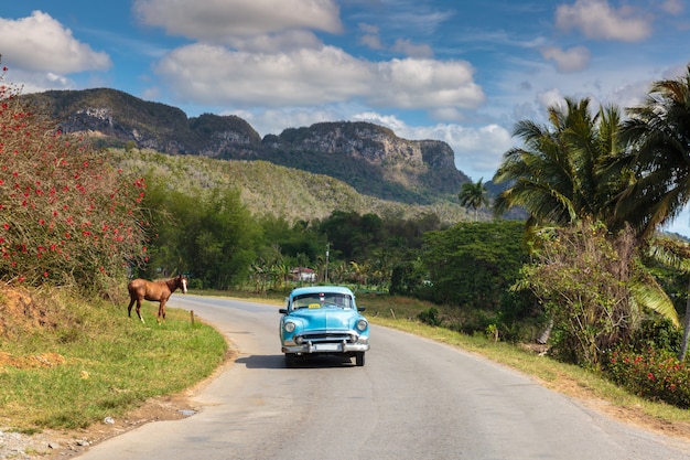 Vinales Tal