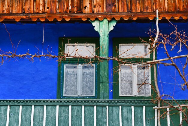 Foto vinas de vid pintadas en azul en la pared del porche