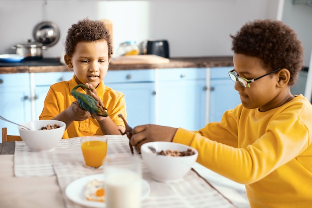 Vínculo fraternal. Niños de pelo rizado desayunando y jugando con sus dinosaurios de juguete mientras hablan entre sí
