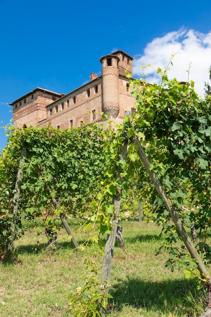 Viñedo en la región de Piamonte, Italia, con el castillo de Grinzane Cavour al fondo. Langhe es el distrito vinícola del vino Barolo.