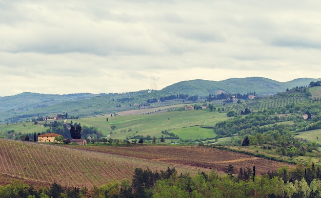 Los viñedos de Chianti.