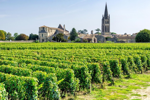 Viñedos del pueblo de Saint Emilion