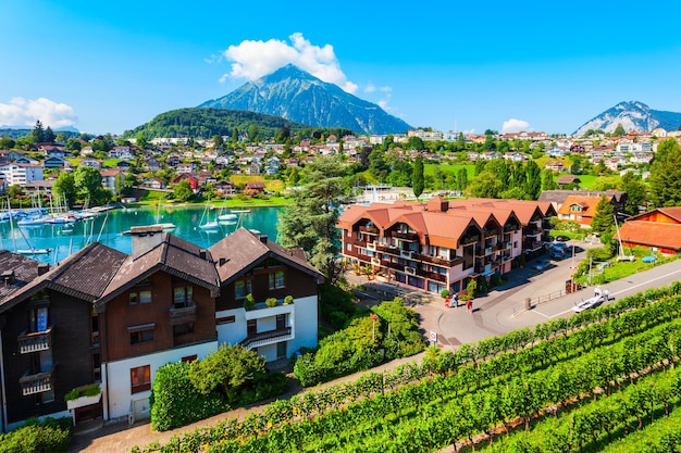 Vinhedos na cidade Suíça de Spiez