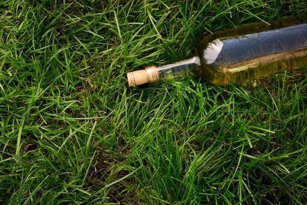 Vinho branco com galhos de uvas brancas. Em uma mesa de madeira