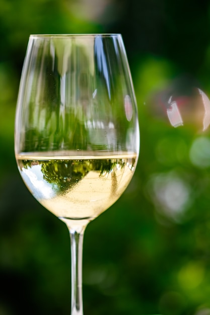 Vinho branco em restaurante de luxo no terraço com jardim de verão experiência de degustação de vinhos em vinícola na vi ...