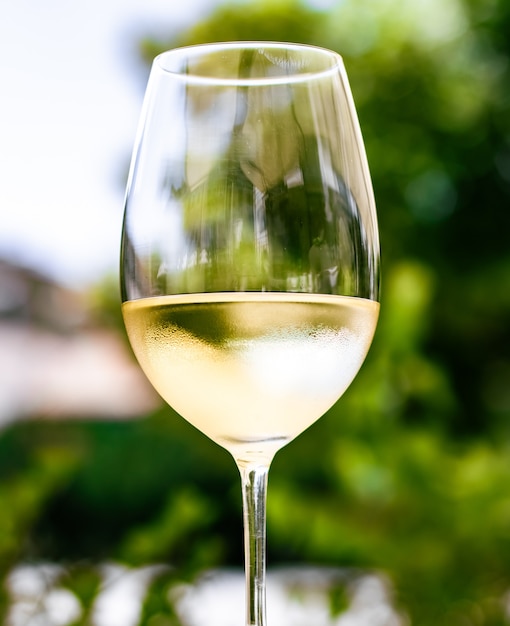 Foto vinho branco em restaurante de luxo no terraço com jardim de verão experiência de degustação de vinhos em vinícola na vi ...