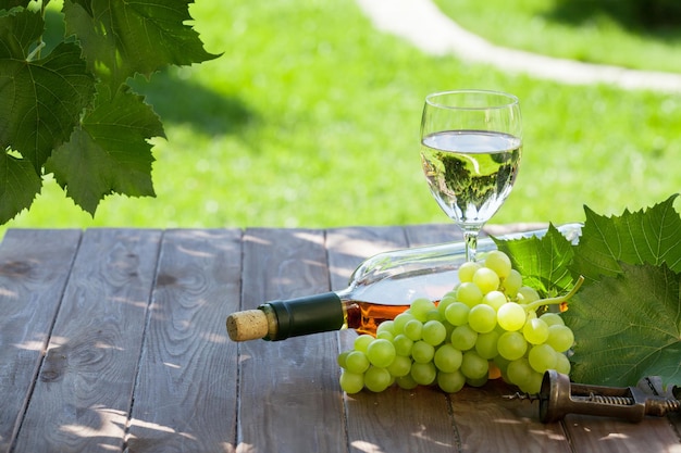 Vinho e uva na mesa de jardim
