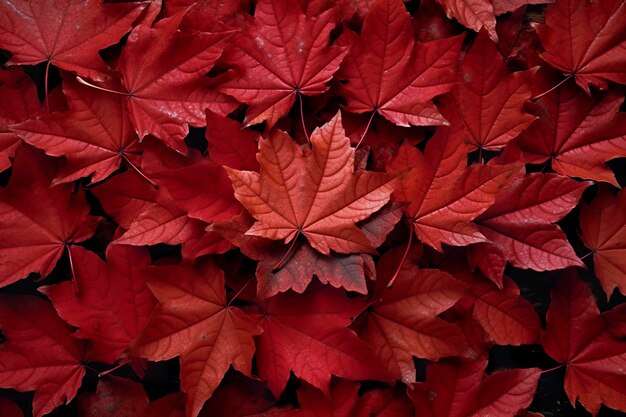 Vinho tinto folhas de outono textura queda natureza fundo AI Generative