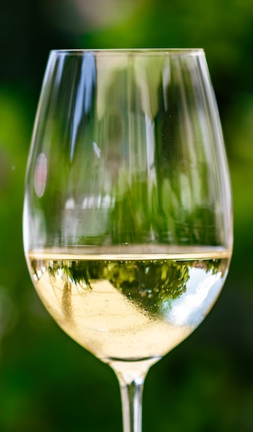 Vino blanco en restaurante de lujo en la terraza del jardín de verano experiencia de cata de vinos en bodega en el vi ...