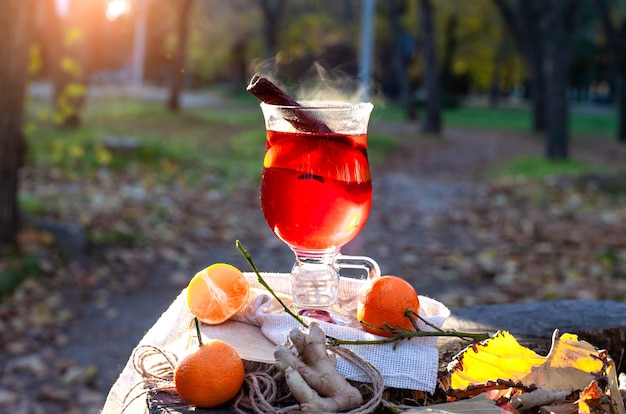 Vino caliente caliente en una copa Outdors picnic en el parque de otoño Vino caliente Gluhwein