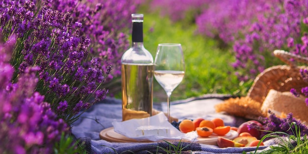 Vino frutas bayas queso gafas picnic en campo de lavanda Enfoque selectivoNaturaleza