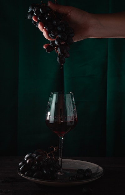 El vino tinto gotea de una vid en un vaso. Fondo oscuro, foto vertical.