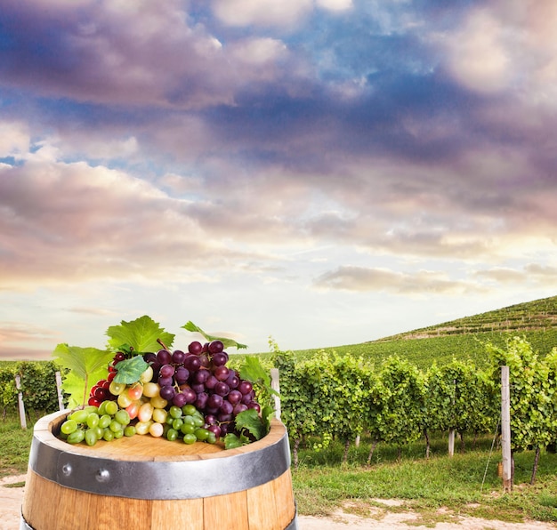 Foto vino tinto o blanco en barrica sobre viñedo en verde toscana, italia