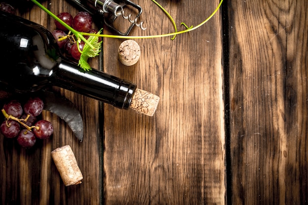 Vino tinto con rama de vid. Sobre una mesa de madera.