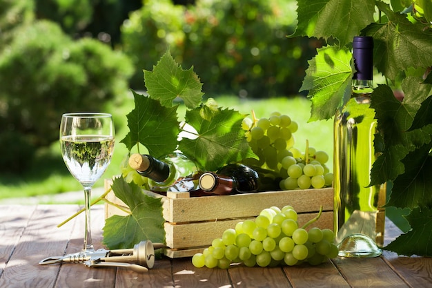 Vino y uvas en mesa de jardín