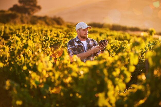 Los vinos finos comienzan en el viñedo Foto de un agricultor feliz sosteniendo un racimo de uvas mientras está parado en un viñedo