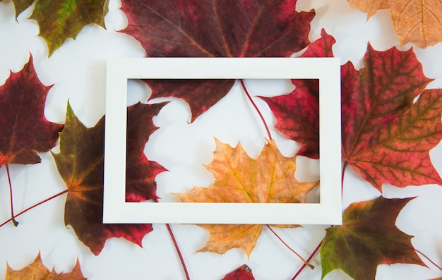 Vintage Banner mit Herbstlaubrahmen mit Kopierraum