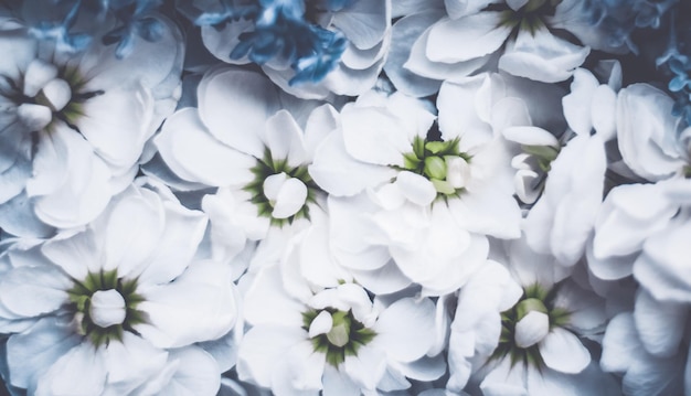 Foto vintage blumen in einem blumenhintergrund des traumgartens