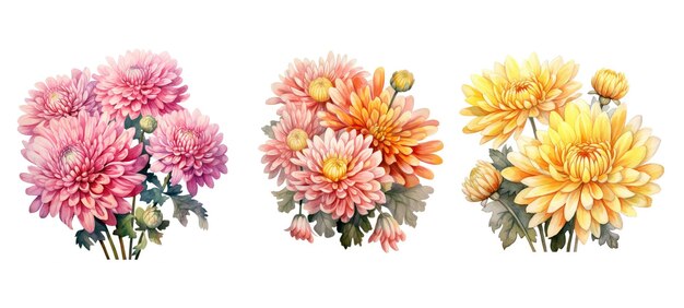 Vintage-Chrysanthemenblumen-Aquarell-Ai-generierte Garten-botanische Blüte-Sommer-Blatt-Frühlingsweinlese-Chrysanthemenblumen-Aquarellillustration