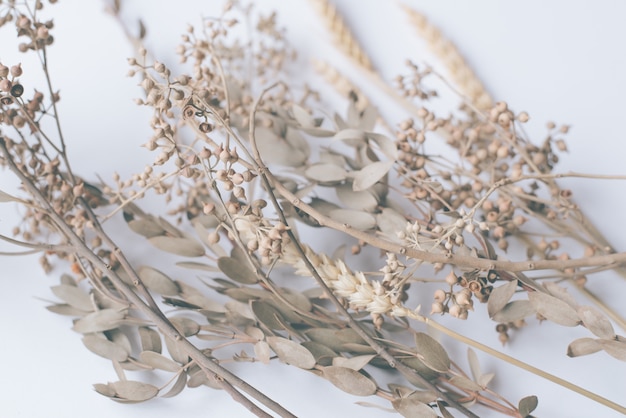 Foto vintage da flor do fundo para o cartão de casamento.