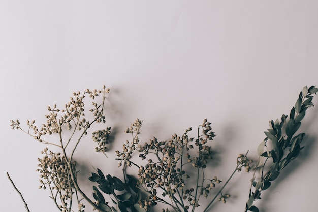 Foto vintage da flor do fundo para o cartão de casamento.